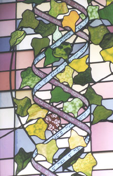 Detail of the Lopati Chapel Staine Glass showing the double helix of DNA, inscribed with the names of the Torah Portions
